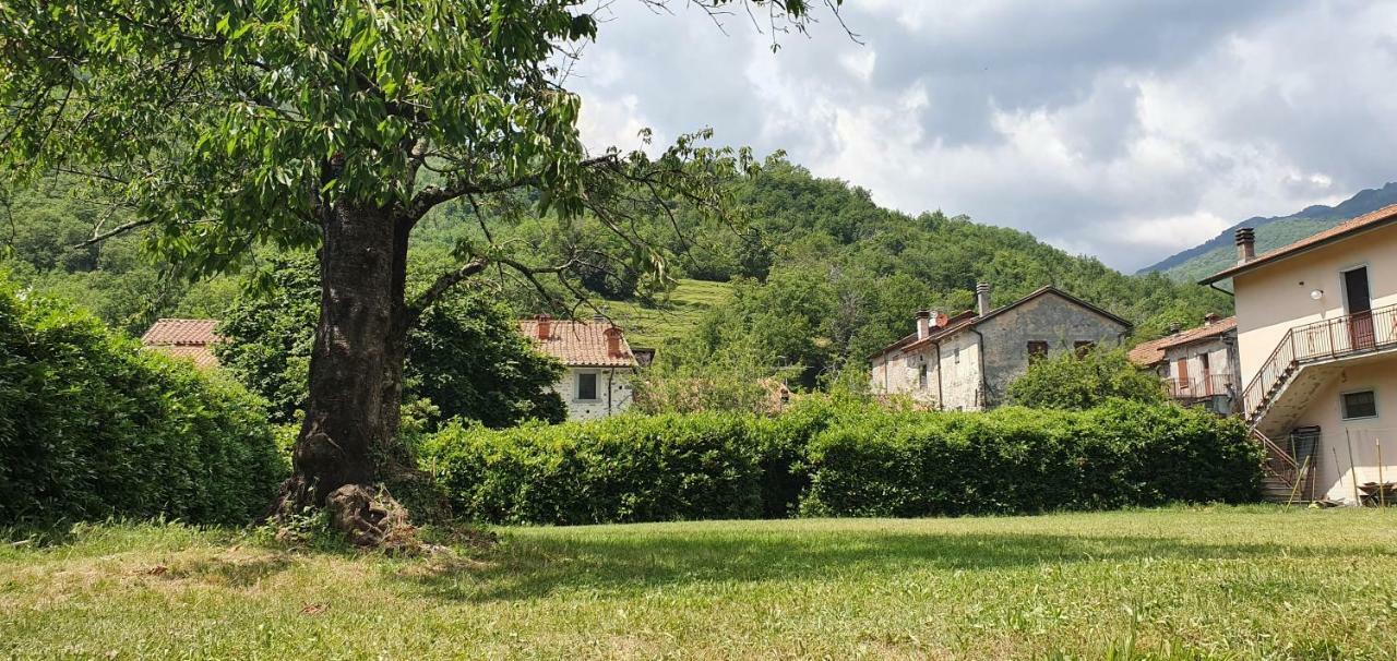 Il Capriolo Villa Tavernelle  Exterior photo
